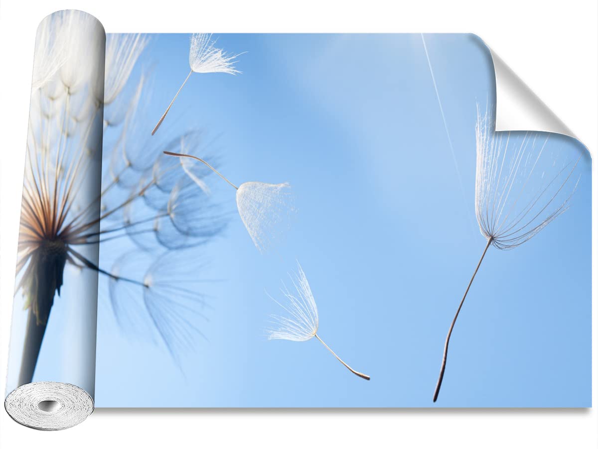 Papier Peint Pissenlit Bleu Tulup : Rénovation Murale Sans Colle Rapide 152x104 cm