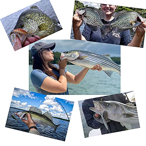 ZASIE 50 lb Fluorocarbon Fishing Leader,20 Inch Fluorocarbon Leader Line with Swivel and Snap, 100% Fluorocarbon Leaders Saltwater, 10 Pack Freshwater and Saltwater Fishing Leaders - Thumbnail 7