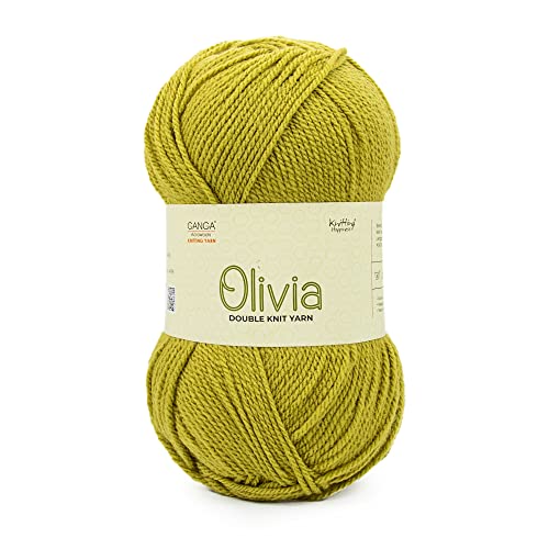 Image of Ganga Acrowools Olivia, Double Knit Yarn. Hand Knitting and Crochet Yarn. Oekotex Class 1 Certified. Pack of 2 Balls - 100gms Each. Shade no - OLV029, Green Oasis