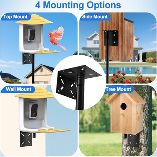 Comedero de pájaros poste ajustable de acero resistente a la intemperie 5