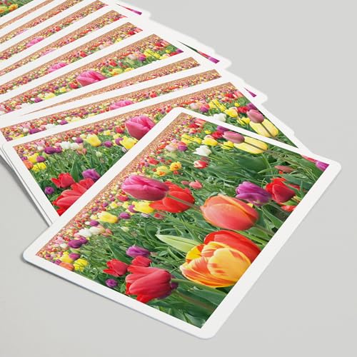 Lantern Press Tulips Baraja de 52 cartas póker miniatura 5