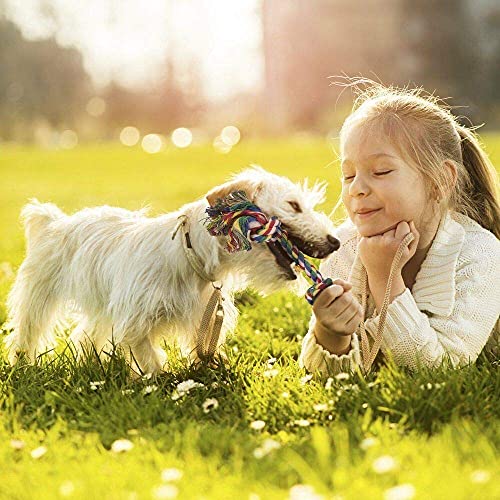 Image of Pet Toy, Durable Combo Pack Cotton Rope Chew 2 Knot Toy + Spiked Ring Toy + Rope Ball for Small to Medium Dogs to Play I Combo of 3 (Combo-D)