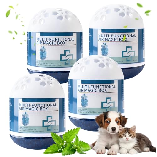 4 Stück Indoor Luftreinigung Staubentfernung Magic Box Multifunktionale Air Magic Box mit automatischer Staubabsaugung & pflanzlicher Formel langanhaltende Frische für Zuhause Büro Auto & mehr
