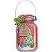 Dimensions 70-08964 Counted Cross Stitch Holiday Mason Jar Ornament Kit, 4pc