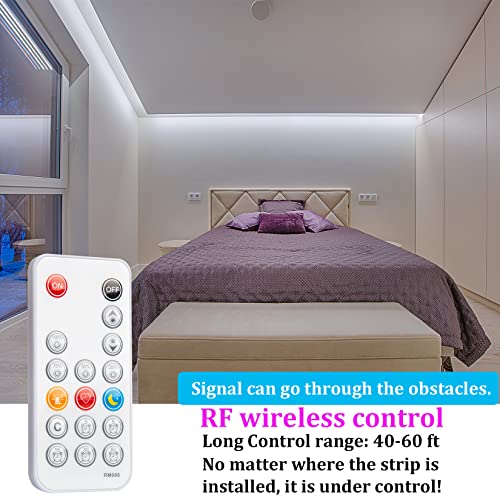 WOBANE LED Strip Lights 32.8ft White, Dimmable White Light Strip Kit with Remote and Control Box, 600 LEDs Supper Bright Tape Lights for Living Room, Mirror, Under Cabinet, Wardrobe 6500K Daylight