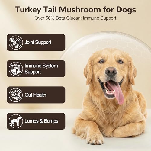 Image of Organic Turkey Tail Mushroom for Large Dogs - Over 50% Beta Glucan - 10-in-1 Mushroom Powder for Immune & Gut Support - Dog Mushroom Supplements for Lumps and Bumps - Chicken Flavor, 200g