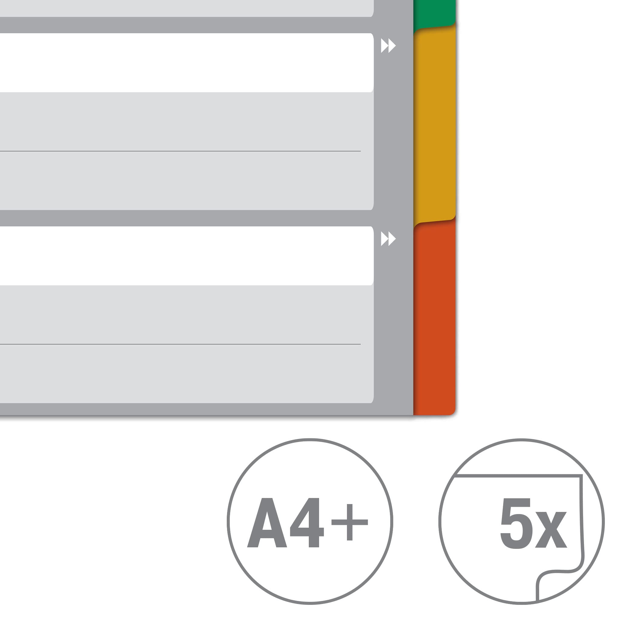 5er Pack A4 Register 10-teilig | Trennblätter Für Ordner Bunte Tabs