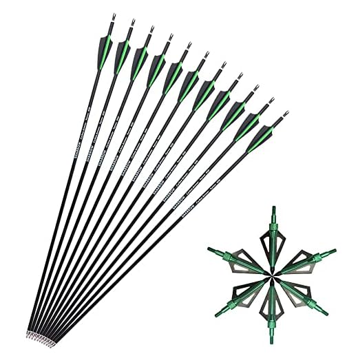 SHARROW 12pcs Flèches de Carbone 30 Pouces Flèches de Chasse Spine 500 pour Arc à Poulies et Arc Classique (Vert+12pcs Broadhead)