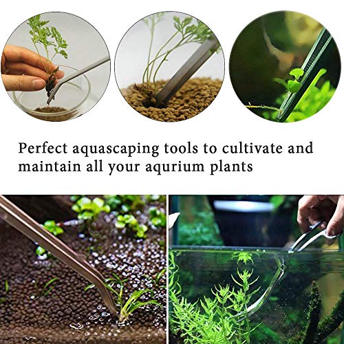 ACEONE Aquascaping Tools, 5 in 1 Stainless Steel Aquarium Tool Set with Wave Scissors, Tweezers, Spatula, Squirt Feeder, PH Tester for Fish Tank Aquatic Plant