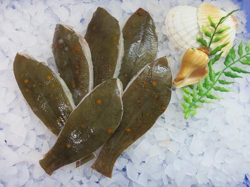 GreetFish Scholle, Scholle (ohne Seitengräte), fangfrisch, vakuumiert, 500g