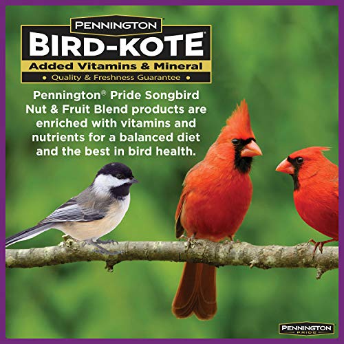 Pennington Songbird Nut & Fruit Blend Wild Bird Seed, 10 Lb #TOP5
