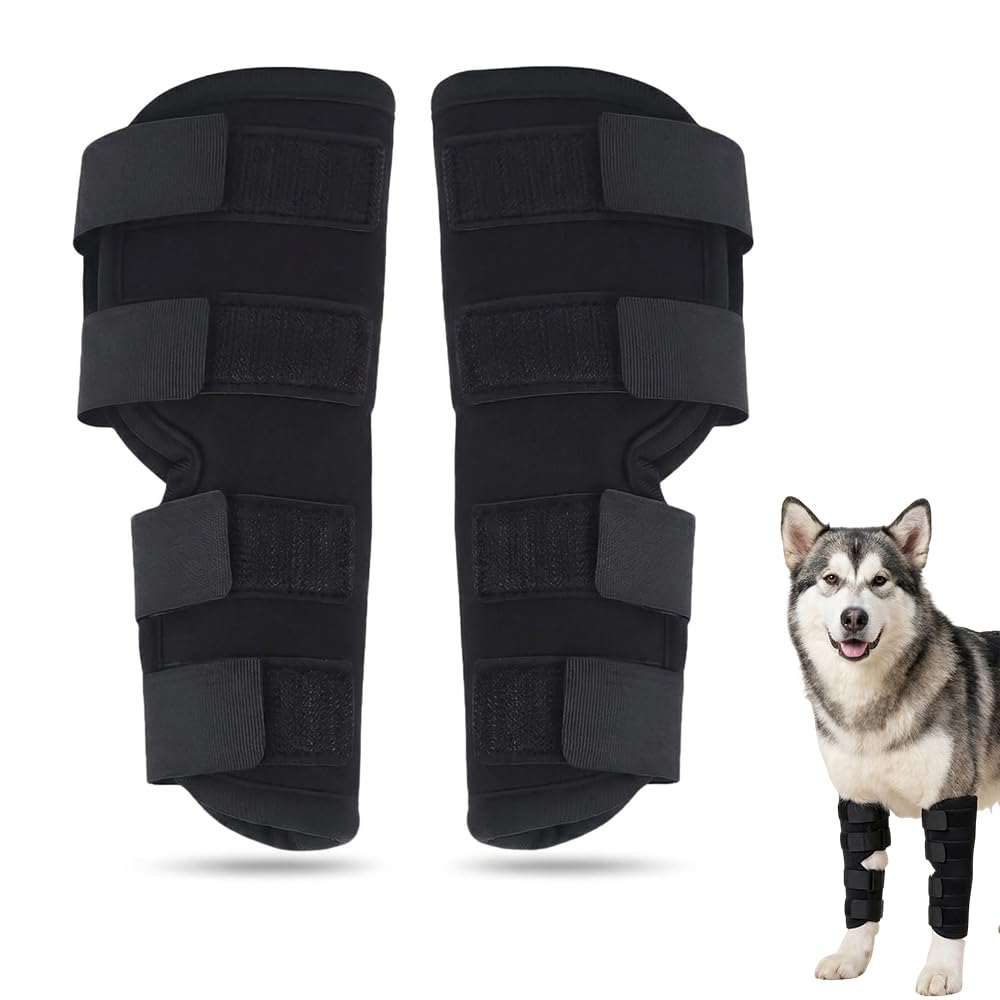 Jdbefuy 2 Pack Dog Leg Brace for Medium and Large Dogs, Adjustable Front or Rear Leg Protector for Hock Joint Support, Recovery Sleeve for Torn ACL and Luxating Patella (M)
