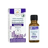 Aroma: Lavanda La Casa de los Aromas Aceite hidrosoluble 15ml Lavanda …
