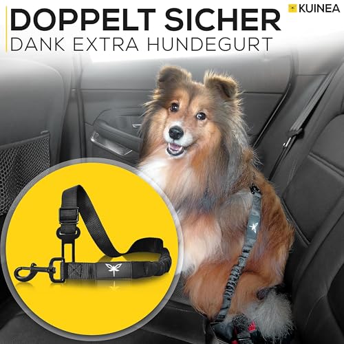 KUINEA® Extra Stabiler Hunde Autositz Rückbank - GRATIS Hundegurt - kleine bis mittelgroße Hunde - Autositz Hund wasserdicht, Hundekorb Auto, Hundesitz Auto, Hundeautositz, Dog car seat