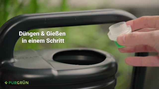 Purgrn Philodendron-Dnger 1 Liter  Frdert schnelles, gesundes Wachstum   Prchtige Blattfrbung dank Spurennhrstoffen  Strkt die  Widerstandskraft  Konzentrat fr ca. 400 Liter Giewasser : Amazon.de:  Garten