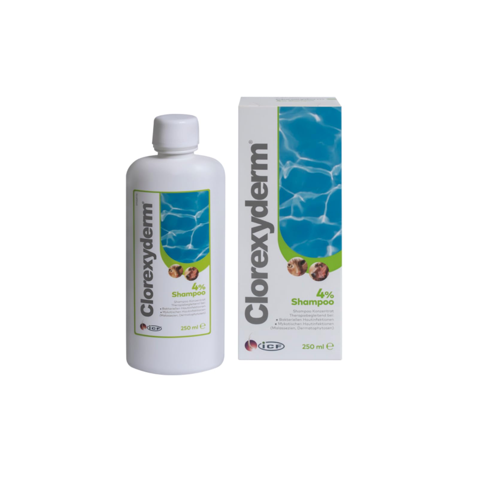 ICF iCF Clorexyderm Champú 4% | Paquete doble | 2 x 250 ml | Champú concentrado para perros y gatos | Para limpiar la piel y el pelaje | Para reducir las células muertas