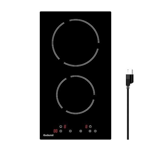 Gudsunal 2 Burner Electric Cooktop, 2000 Watt, 110V with Plug | 12 Inch Touch Control Electric Stove Top for Countertop & Built-in Use | Timer, Child Lock, Hot Surface Indicator Included,Matte Black