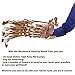 Wood Trick Wooden Robot Hand 3D Wooden Puzzle - Robotic Hand Wood Model Kit to Build