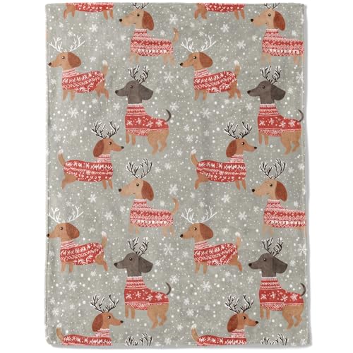 ainori Festive Holiday Weiner Dog Fleece Blanket - Lightweight Soft Cozy Gifts Throw for Puppy Lovers,Women,Adult,Dachshund Pet Blankets,Home Room Modern Christmas Decor 50x60in