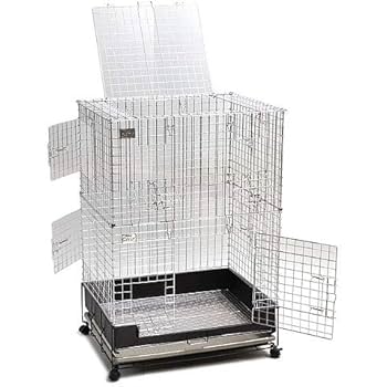Amazon.co.jp: コンフォート60 チンチラスペシャル : ペット用品