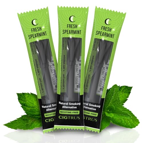 Image of Cigtrus Natural Nicotine-Free, Tobacco-Free Smoking Alternative, Non-Electric Craving Relief, Quit Smoking Aid with Cigtrus (Fresh Spearmint) - 3 Piece