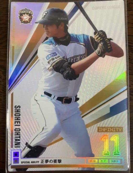 オーナーズリーグ2013 大谷翔平 インフィニティ ルーキーカード 2枚組 希少 大谷翔平 オーナーズリーグ インフィニティ ミントモール