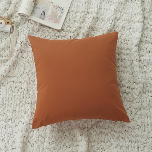 Housses de coussin décoratives orange en lin pour canapé