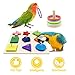 Saderoy 5 Packs Bird Toys Parrot Training Toys Parrot Wooden Block Puzzles Toy Bird Basketball Toy Small Sepak Takraw Bird Skateboard Bird Stacking Toy for Birds Parrot Training