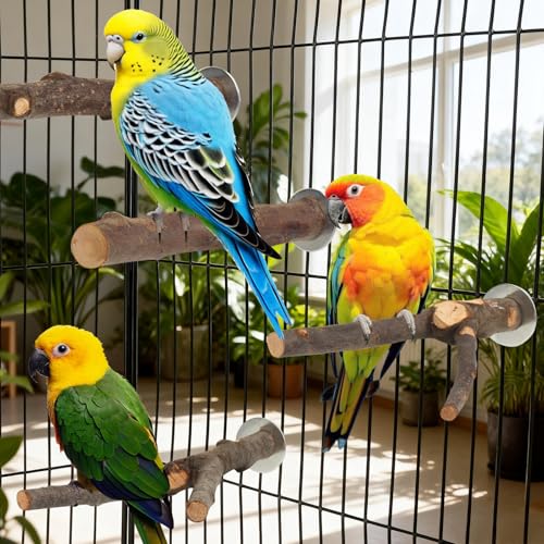 Image of 6 Pack Natural Wood Bird Perches for Cage, Wooden Parrot Perch | Wood Bird Stand Toy, Hardwood Branches, Climbing & Chew Toy for Bird Cage Accessories, Ideal for Parakeets Budgies Cockatiels