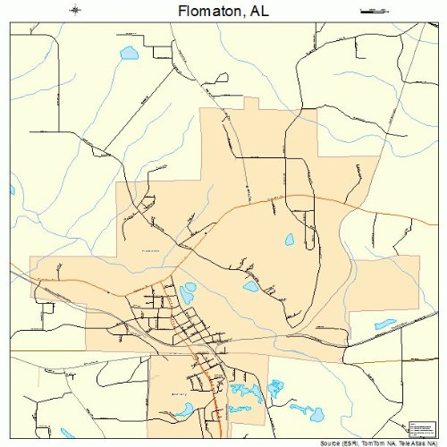Large Street & Road Map of Flomaton, Alabama AL Printed poster size