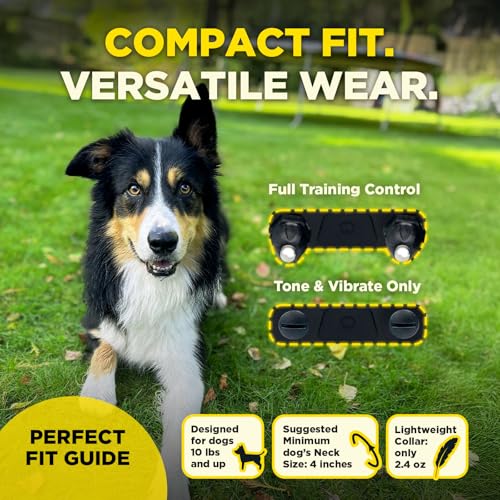 Image of Dogtra 200iQ Remote Training E Collar - 100 Levels, Tone, Vibration, 1 /2 Mile Range - Compact, Waterproof, One-Handed Control for Dogs 10 lbs+ - Lightweight Design for Daily Training - Cafe Swirl