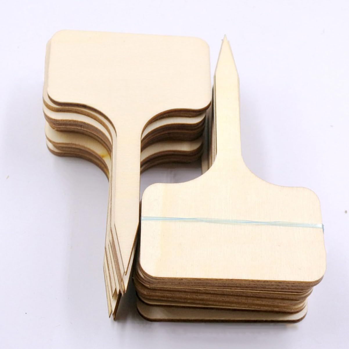 POPETPOP 5 Ensembles Étiquette D'insertion Piquets De Jardin Petit Usine Graine Fougères Étiquette Prenom Étiquette Jardinage Étiquettes En Bois Marqueurs De 20 Pièces * 5