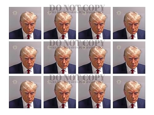 Retrato de Donald Trump de 11 x 14 pulgadas, fotografía artística del mugshot 2023