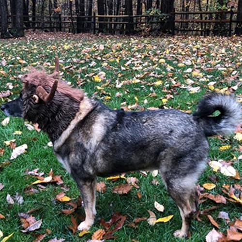 Disfraz de cuernos de toro para perros medianos amarillo miniatura 4
