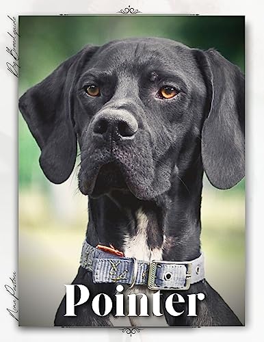  Pointer: Dog breed overview and guide (English Edition)