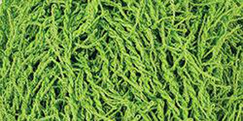 Image of RED HEART Scrubby Yarn, Lime