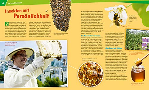 WAS IST WAS Band 19 Bienen und Wespen. Flüssiges Gold und spitzer Stachel (WAS IST WAS Sachbuch, Band 19) – Bild 4