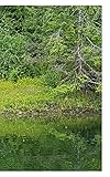  Tahsis Inlet Outlet Revival Anthology 2020 Black and white Edition: Green Antler presents 2020 collected works