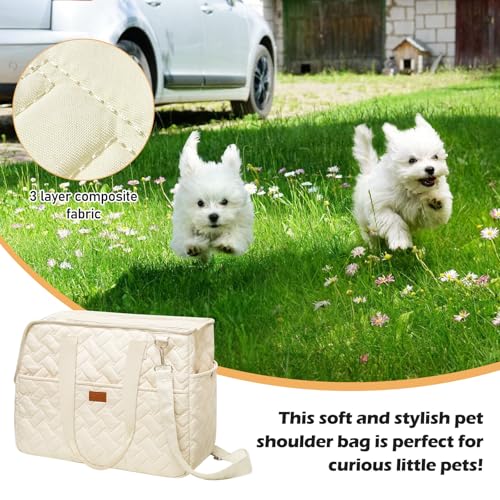 Hundetragetasche bis 5kg – Hundetasche für kleine Hunde Katze, Tragetasche Hund, faltbar, atmungsaktiv, mit Sicherheitsgurt, Taschen, Transporttasche, ideal für Outdoor, Reisen, Auto (41x30x18cm)
