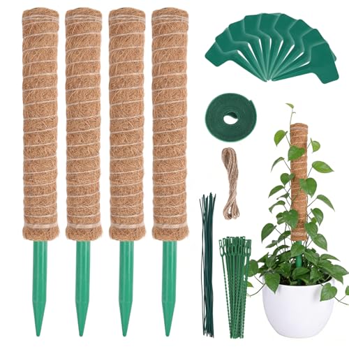 HOVIN Soporte trepador para Monstera de coco – 4 tutores extensibles de musgo, 40 cm – Para plantas trepadoras en interiores y jardines