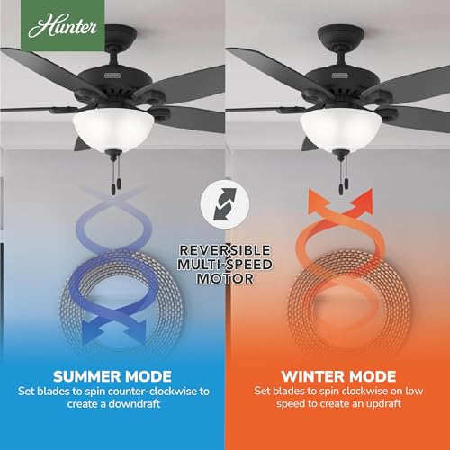 Image of Hunter Builder Deluxe, Indoor, Ceiling Fan, 5 Blades, 52 inch, Matte Black