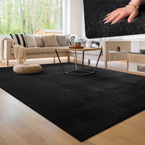 Paco Home Tapis Salon Moelleux Ultra Doux à Poils Courts - Antidérapant, Lavable, Confort Idéal pour Salon et Chambre, Dimension:120x170 cm, Couleur:Noir