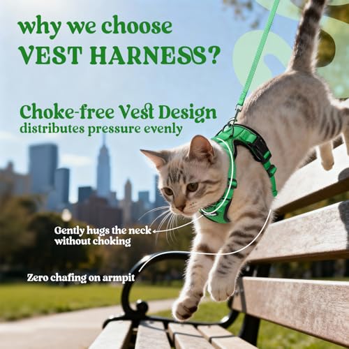 Image of rabbitgoo Cat Harness and Leash Set, Escape Proof Vest, Grass Green | Soft Breathable Mesh, Easy Adjustable Fit, Snap Buckles, Sturdy Clip, Reflective Strips, for Small & Average Cats Walks, Xs
