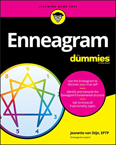 Enneagram for Dummies view 2