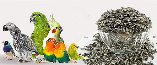 CybeXis Natural Sunflower Seed for Birds-[1Kg]