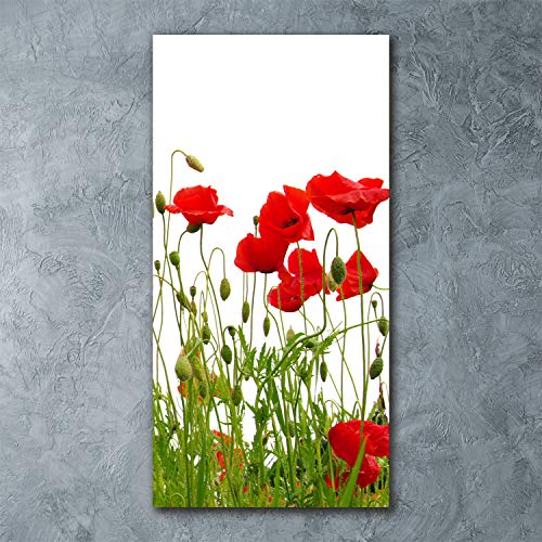Tableau sur verre 60x120 cm panoramique avec fleurs de coquelicots rouges pour cuisine et salon