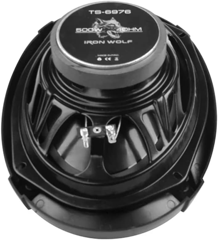 Soway TS-6976 6x9 Coaxial Speaker rear view
