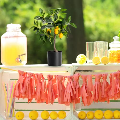 Velener Fake Lemon Tree 19"- Bonsai Tree Indoor With Pot Farmhouse Home Decor Living Room Kitchen Shelf Office Desk Bathroom Table Mini Outdoor Tree Faux Plant Porch Lemon Decor Floor Plant Tall #TOP6