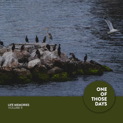 John Teki, D.Akkord & Shell Robinson