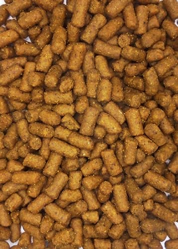 Amazon.co.jp: ヘッジホッグ ダイエット ハリネズミフード (1.15kg